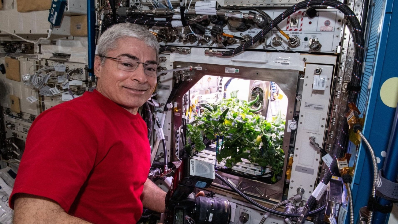 an-astronaut-preparing-to-photograph-chile-peppers-growing-in-the-advanced-plant-habitat.jpg