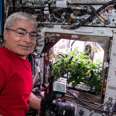 an-astronaut-preparing-to-photograph-chile-peppers-growing-in-the-advanced-plant-habitat.jpg
