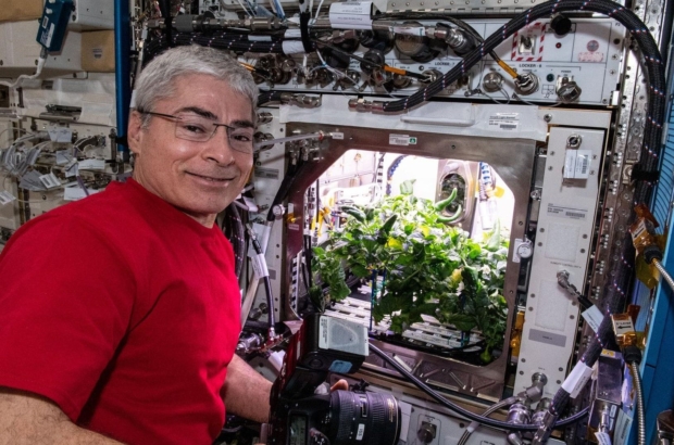 an-astronaut-preparing-to-photograph-chile-peppers-growing-in-the-advanced-plant-habitat.jpg
