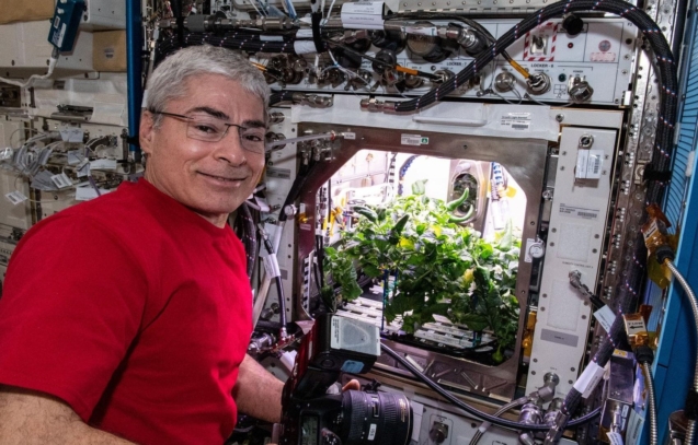 an-astronaut-preparing-to-photograph-chile-peppers-growing-in-the-advanced-plant-habitat.jpg